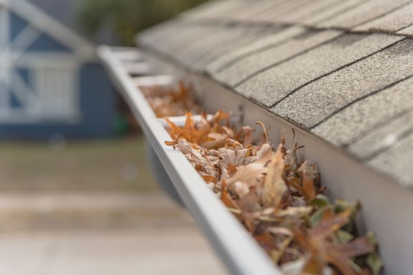 Leaf Barrier Installation in Mocksville
